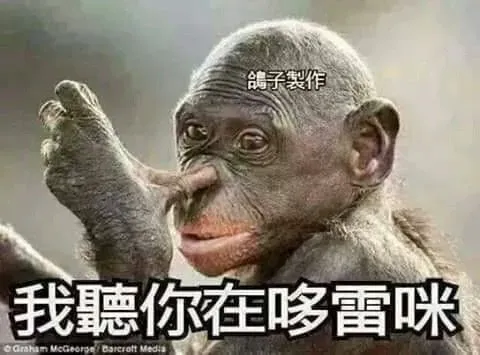 1637926694322_7bb3441f-7324-4910-aac8-1334822d781d.jpg