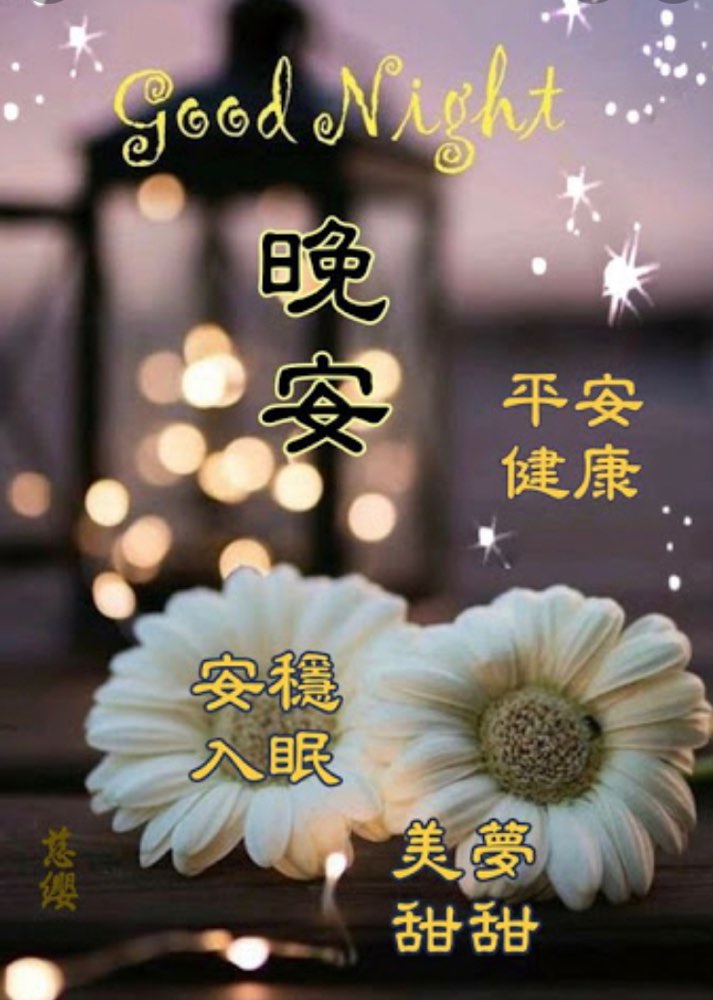晚安😴😴😴好夢😊😊 - 爆廢公社 | 爆料公社