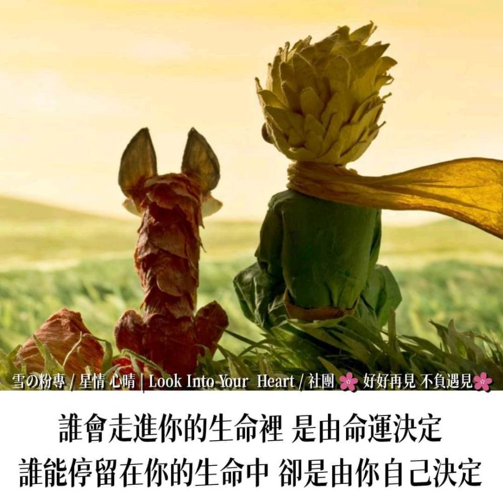 風在吹 雲在飛 海角天涯 我相隨 魚在跳 人在笑 山珍海味 樂逍遙 床在搖 馬在叫 共赴巫山 真美妙 🤣🤣🤣🤣 - 爆廢公社 | 爆料公社
