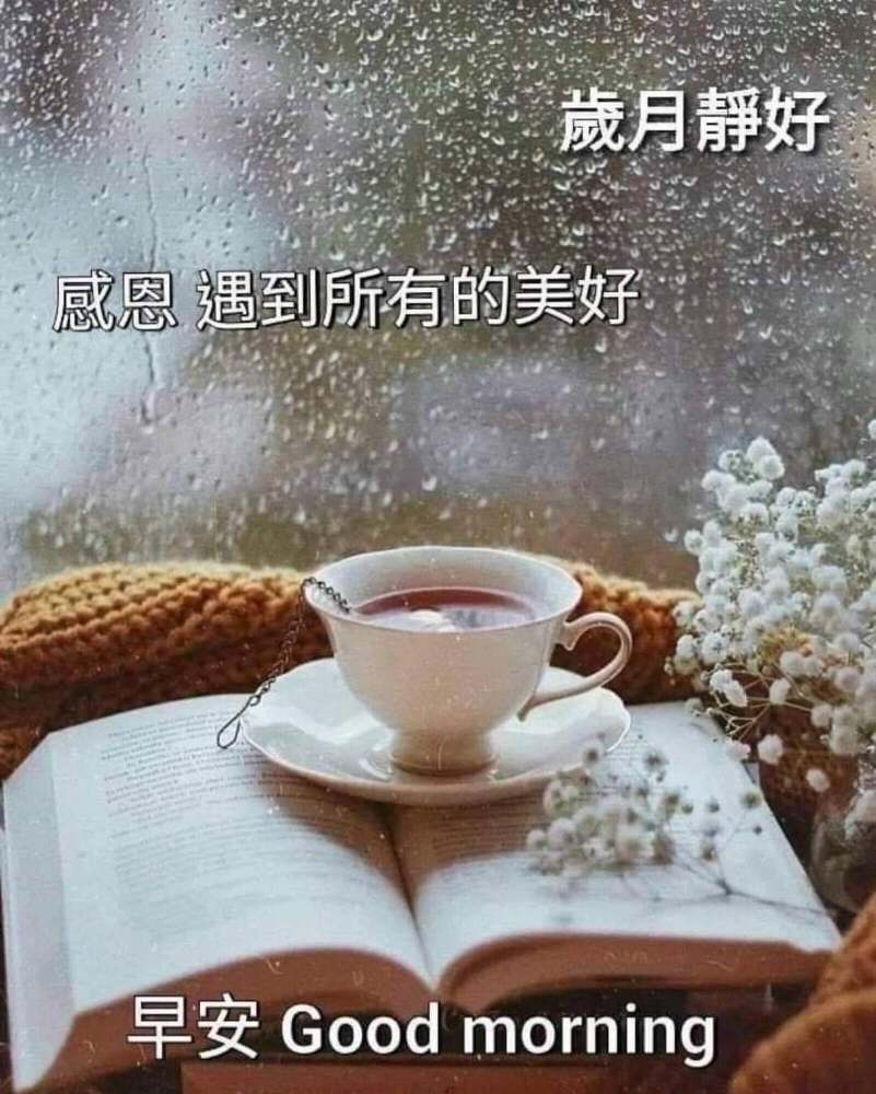 晨安.... | 爆料公社