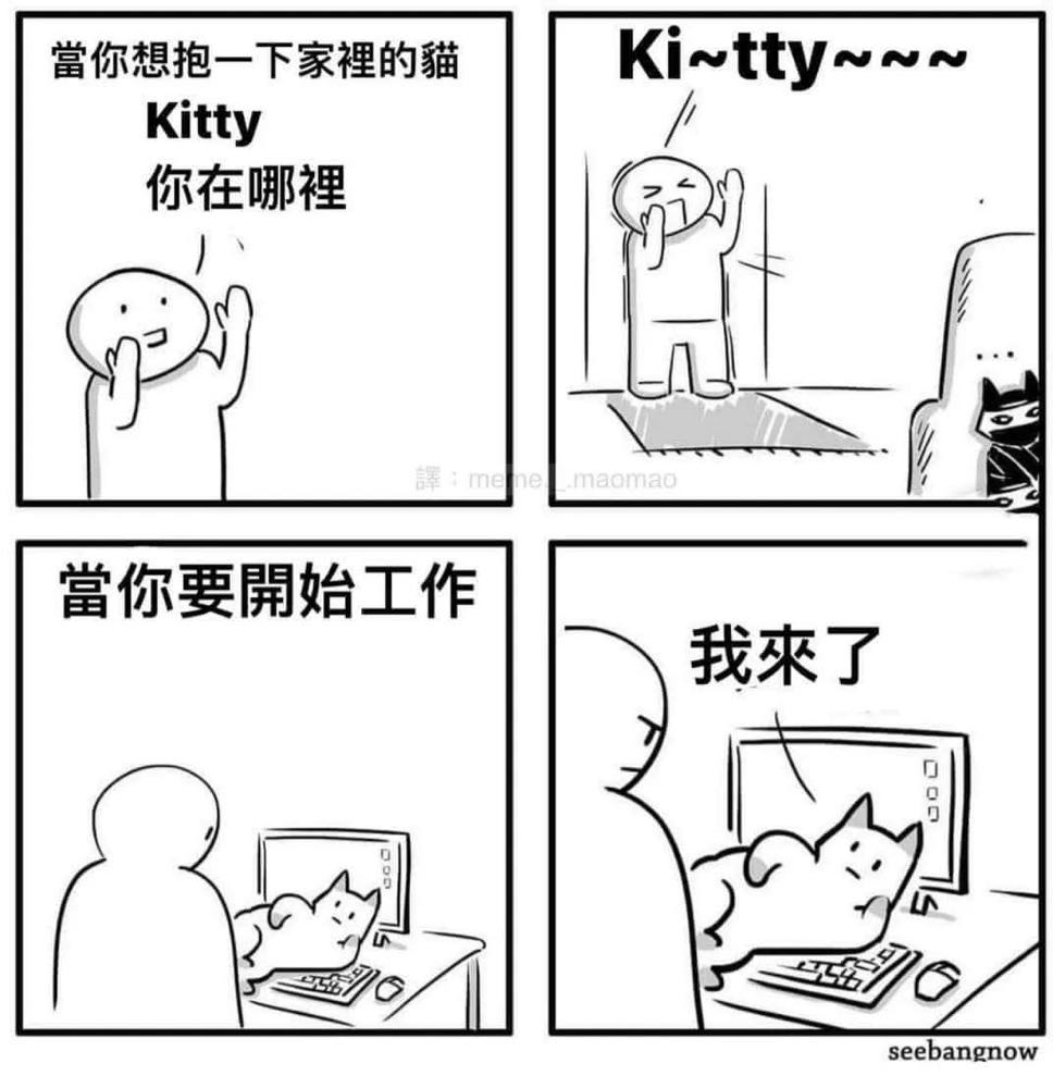 有夠機掰 IG:meme._.maomao - 爆笑公社 | 爆料公社