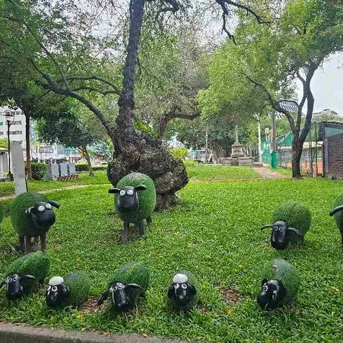 羊羊得意 - 爆廢公社 | 爆料公社