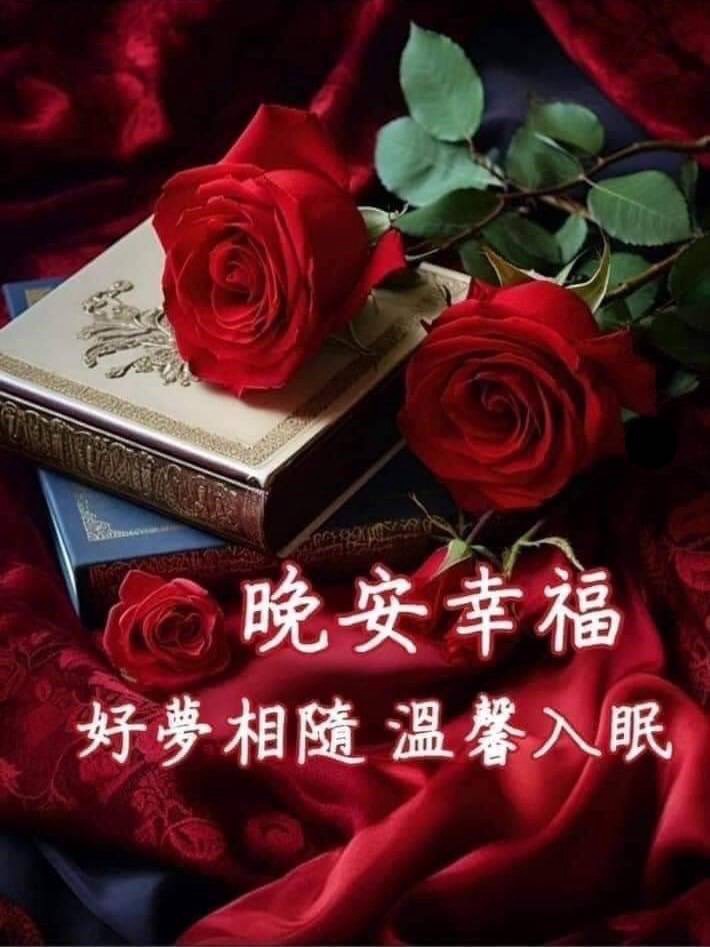 大家晚安💤💤💤 - 爆廢公社 | 爆料公社