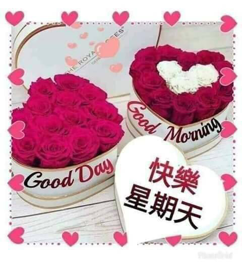 快樂星期天 請安貼圖交換專區 爆料公社