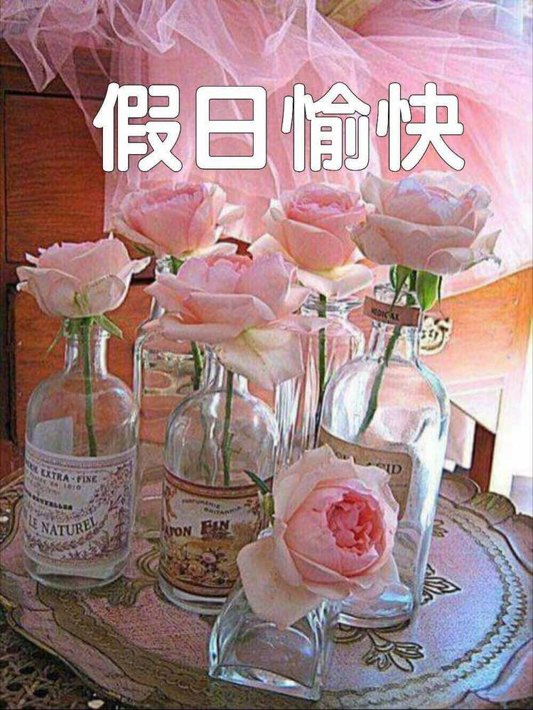 假日愉快 請安貼圖交換專區 爆料公社