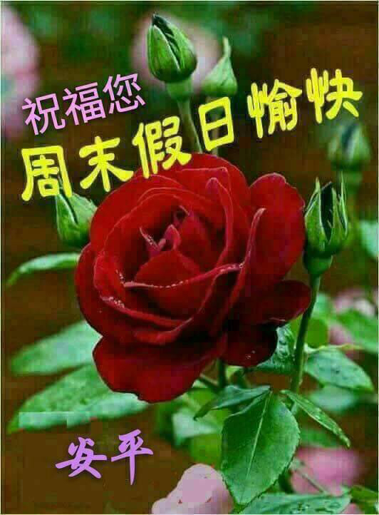 假日愉快 請安貼圖交換專區 爆料公社