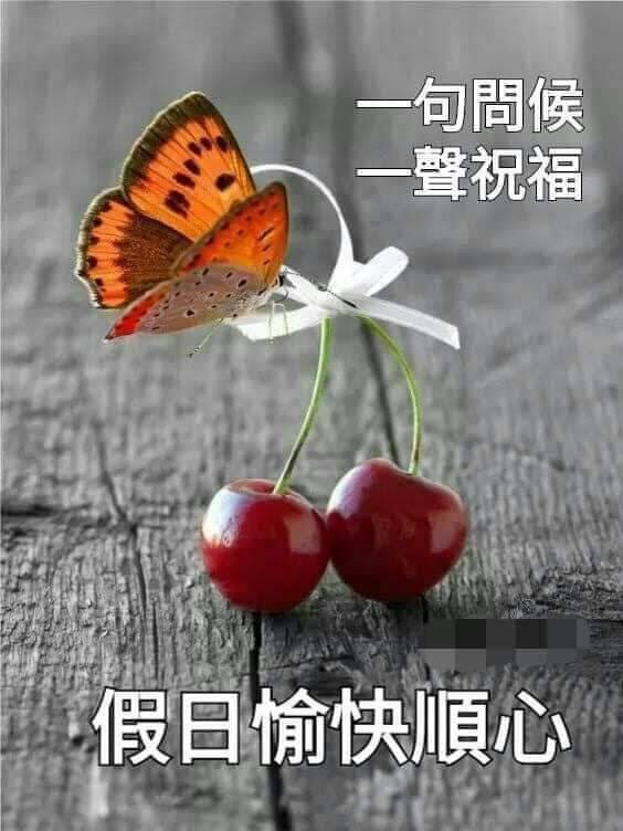 假日愉快 請安貼圖交換專區 爆料公社