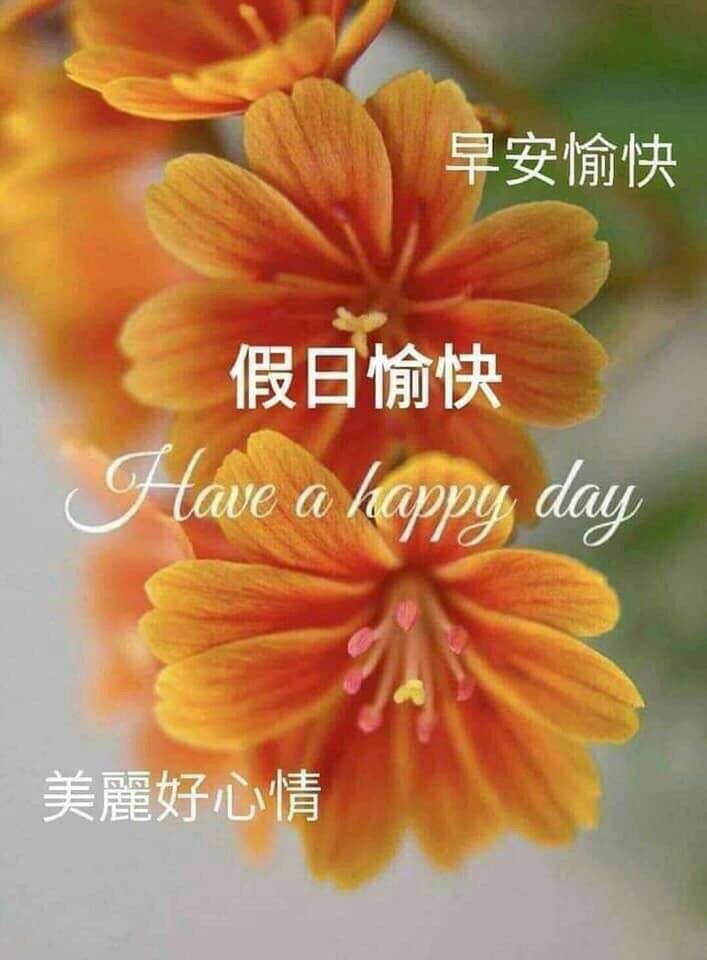 假日愉快 請安貼圖交換專區 爆料公社