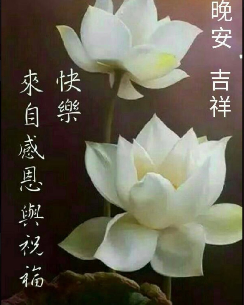 親愛的朋友們晚安 - 爆廢公社 | 爆料公社