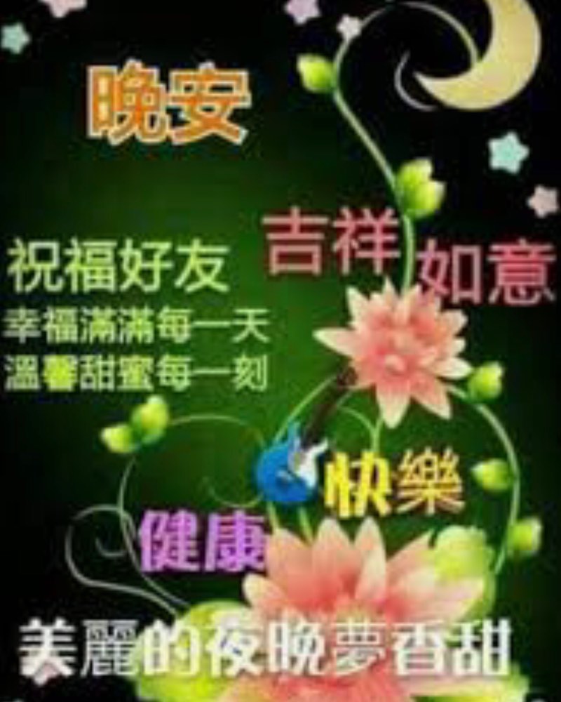 親愛的朋友們晚安 - 爆廢公社 | 爆料公社