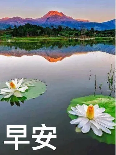 早安囉 記得吃早餐哦 爆廢公社 爆料公社
