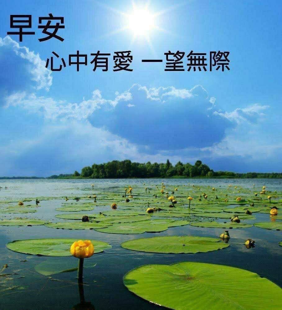 晨安 - 爆廢公社 | 爆料公社