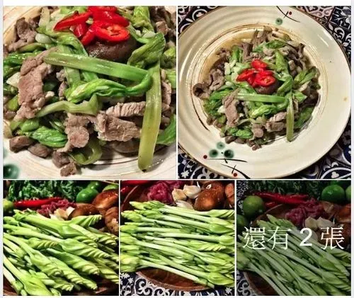 東南亞的作物 叫 夜花薯藤 又叫月光花 他非常怕冷 是比較屬於熱帶的作物 廚藝公社 爆料公社