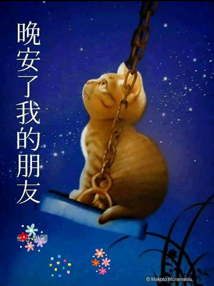 晚安舒心 - 爆廢公社 | 爆料公社