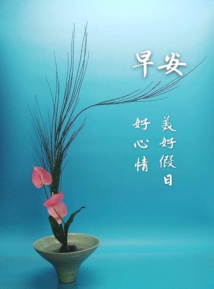 假日晨安 - 爆廢公社 | 爆料公社
