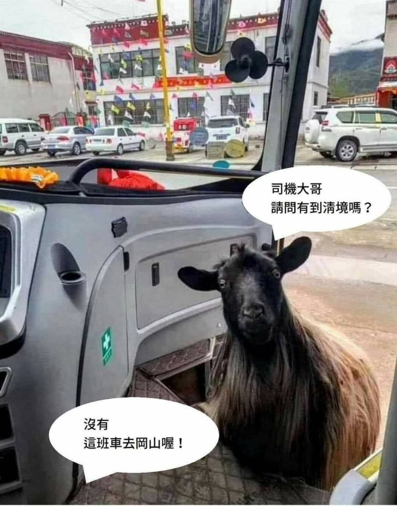 社員牛小妹在爆廢公社公開版貼文去岡山就gg了來源 爆笑公社 爆料公社