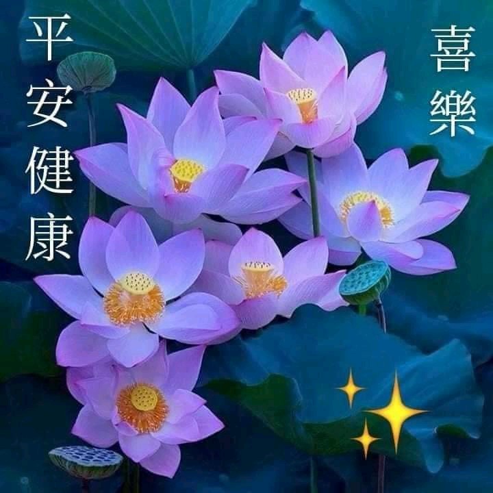 祝願大家一切平安 順心愉快每一天~ 晚安舒心愉快好夢~ 🙏🙏🙏 - 爆廢公社 | 爆料公社