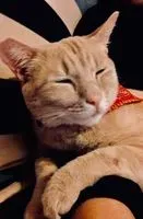 Carlos