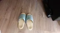 樂眠