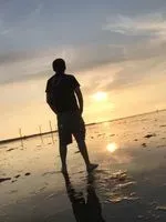 豬豬