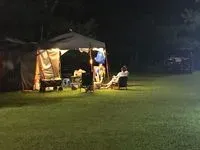 野牛