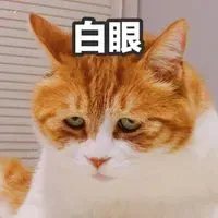 麥阿餒