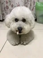 小旭