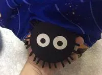 小智
