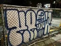 狐圓