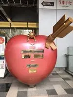 毛毛熊