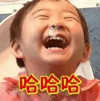 台灣拳