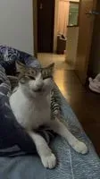 各其所需 開心就好
