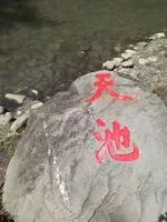 芮蜂鳥