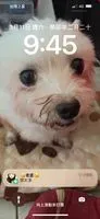 再見再也不見