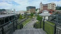 大野兔