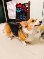 有緣無份