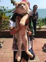 阿昇