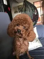 建興