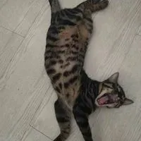 秋風落葉