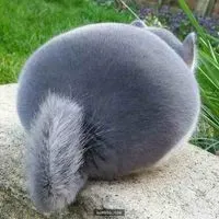 人生好難QQ