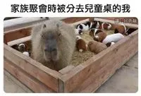 穆穆
