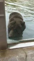 孤單水瓶