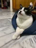 老盧