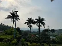 哈利波特