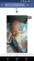 樹懶叫的聲音