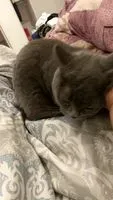 人生起點