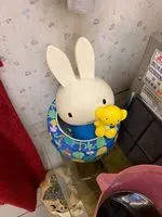 亂烏賊