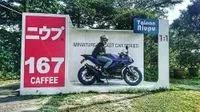 版版锕