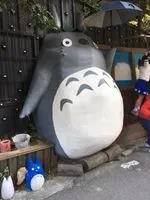 利膽囊