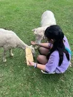 妹紙(●°u°●)​ 」